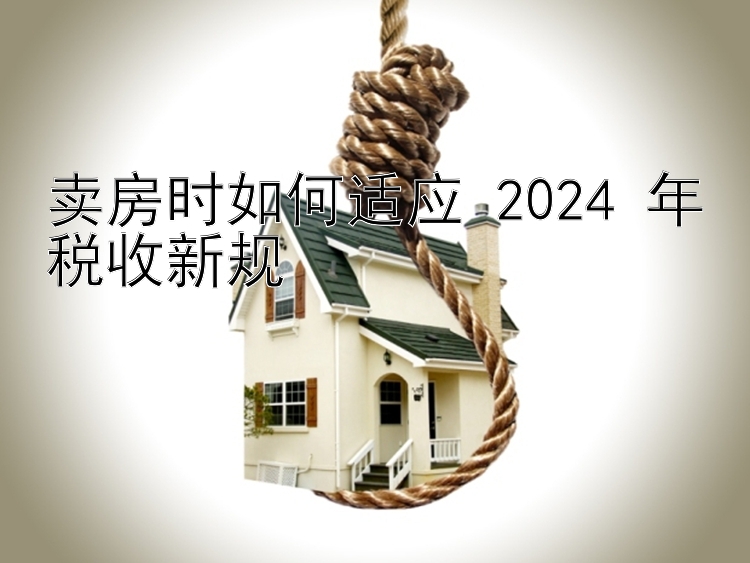 卖房时如何适应 2024 年税收新规