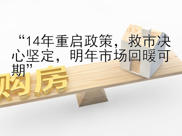  14年重启政策  救市决心坚定  明年市场回暖可期 