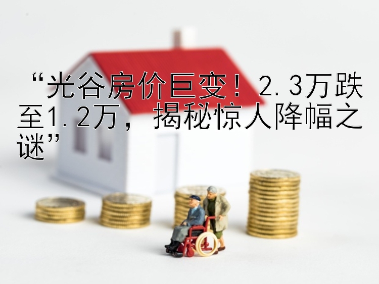 “光谷房价巨变！2.3万跌至1.2万，揭秘惊人降幅之谜”