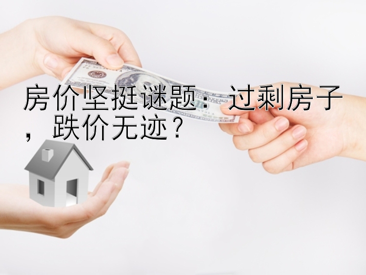 房价坚挺谜题：过剩房子  跌价无迹？