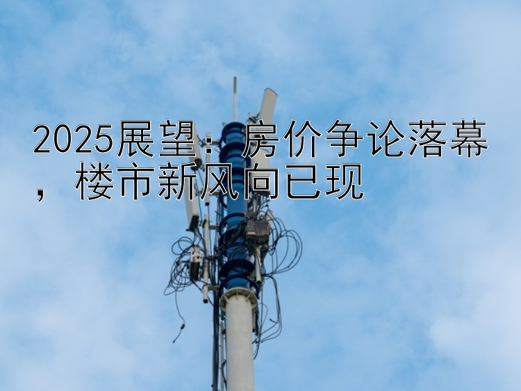 2025展望：房价争论落幕，楼市新风向已现