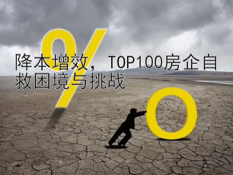 降本增效，TOP100房企自救困境与挑战