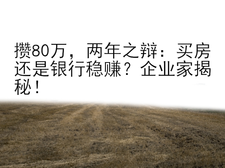 攒80万    两年之辩：买房还是银行稳赚？企业家揭秘！