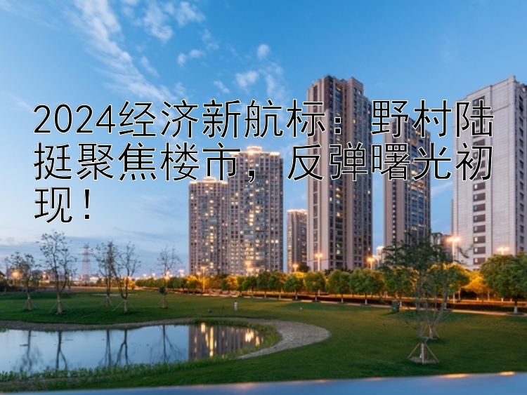 2024经济新航标：野村陆挺聚焦楼市，反弹曙光初现！