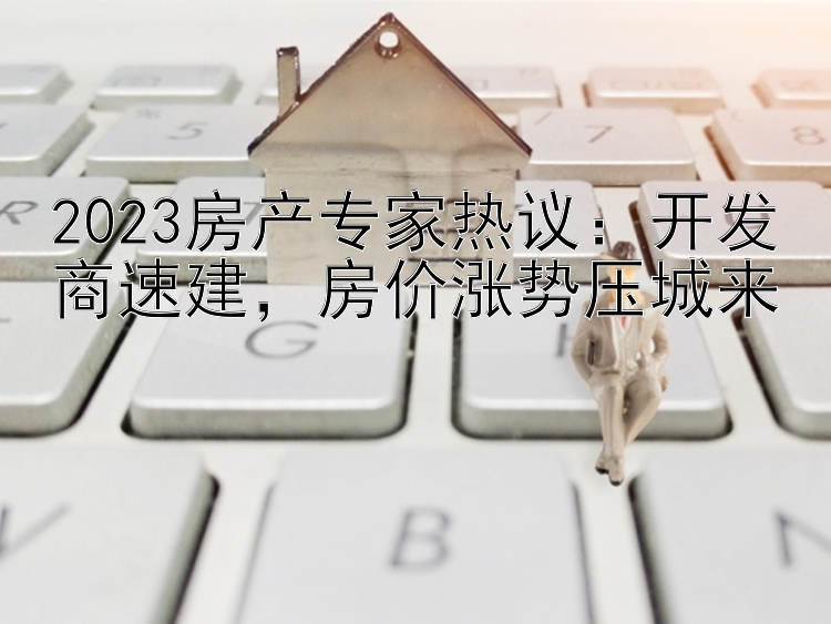 2023房产专家热议：开发商速建，房价涨势压城来