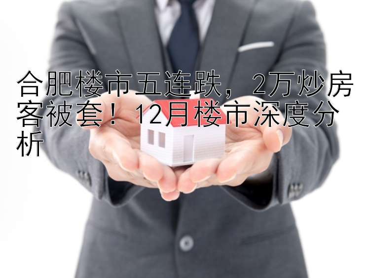 合肥楼市五连跌  2万炒房客被套！12月楼市深度分析